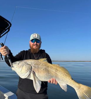 Winter time black drum. 