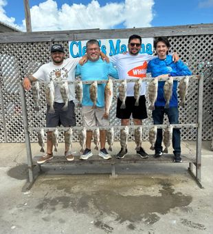 Black drum and redfish action in Corpus Christi!