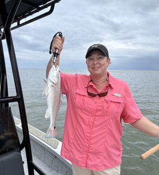 Chasing coastal bites and Gulf views in Corpus Christi, TX.