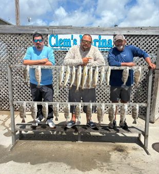Speckled trout and black drum success in Corpus Christi!