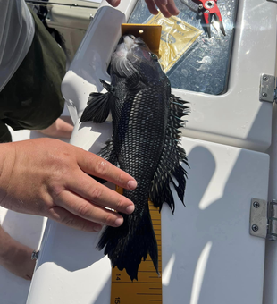 Fish New Jersey's Waters!