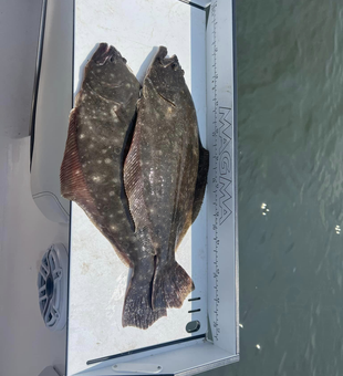 Explore New Jersey's Fishing Flounder Haven
