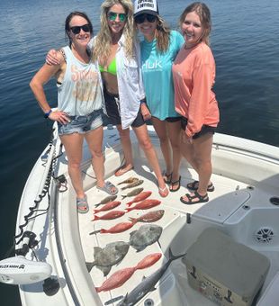 Snapper season is in full swing