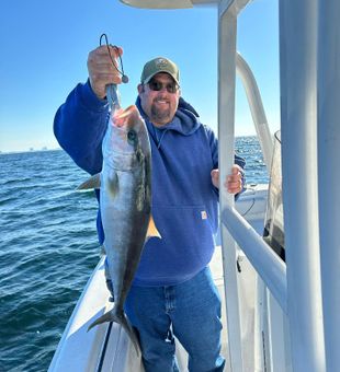 Pcb Fishing Charters