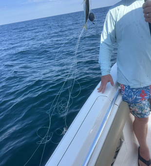 Clear skies and deep sea adventures await in Panama City Beach!