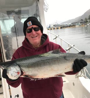 Salmon Spectacle: Alaska Adventure