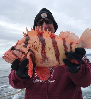 Experience the Alaska Fishing Bliss.