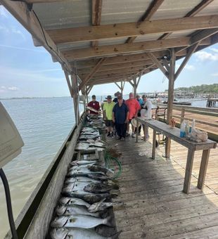 Good company and even better bites today