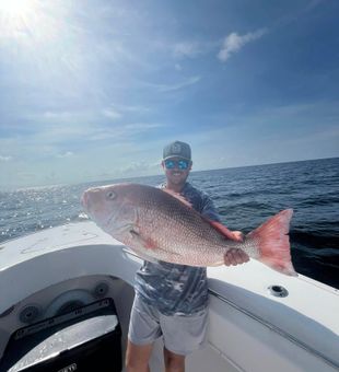 more snapper
