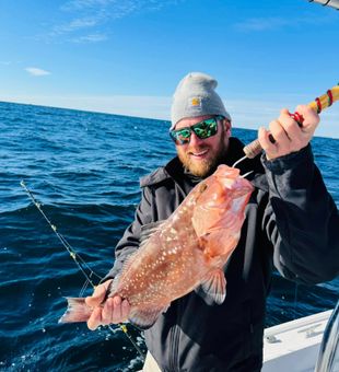Gulf vibes & good bites in Destin - Grouper
