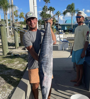 Majestic Wahoo In Ponce Florida