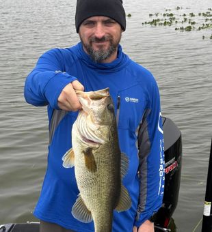 Landing big ones on the Chain!