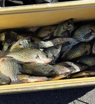 Florida fishing at its best!