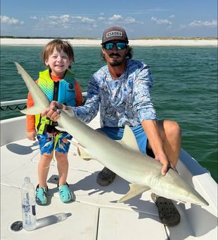 Shark time! -Pensacola, FL.