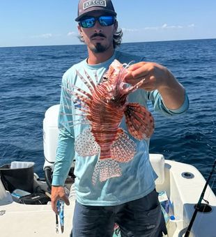 Lionfish reeled in -Pensacola, FL.