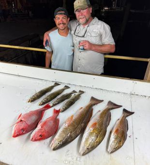 Red snapper, redfish, and speckled trout from Pensacola!