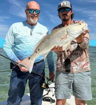 Outstanding Pensacola redfish brought to the boat!