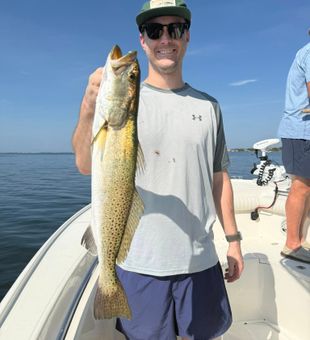 Making waves, catching fish.