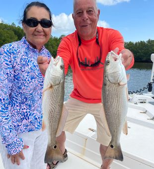 Get Hooked on St. Petersburg's Thriving Redfish