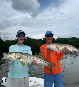 A Day of Snook Fishing in St. Petersburg