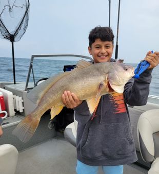 Catch some Trout action on Lake Erie, NY!