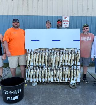 The Matt Helton crew with a very impressive board to end September. 39 walleye weighing 130#'s.