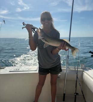 Nice walleye from Lakeside Marblehead waters!