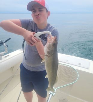 Nice walleye from Lakeside Marblehead OH waters!