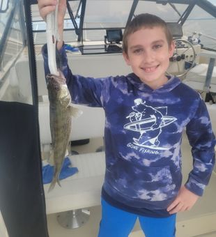Nice walleye from Lakeside Marblehead OH waters!