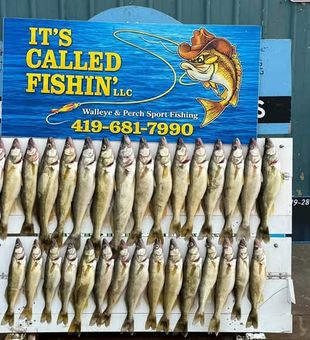 Walleye stack from a short trip in Lake Erie, OH.
