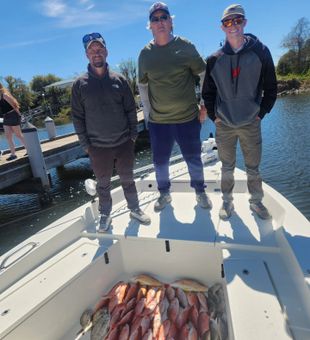 Epic snapper haul! 🎣🔥