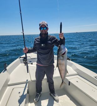 Amberjack action! 🎣🔥
