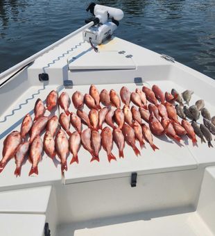 Kings Fishing Charters