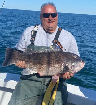 Monster blackfish (Tautog) haul! 🎣🔥