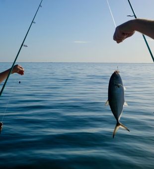 Dad and Son enjoying the gift of the sea. - Englewood, FL.