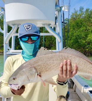 Bid Redfish Reeled In! - Englewood, FL.