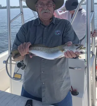  Admiring the sleek beauty of a Kingfish