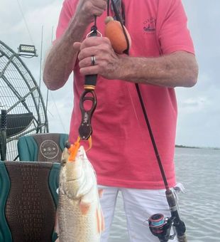 Lost count on Redfish catches