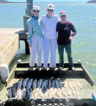 Redfish, sheepshead? Got 'em right here in Texas