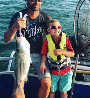 Striped Bass – Nature's Shining Stripes.