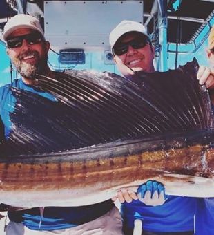 Sailfish at St. George Island