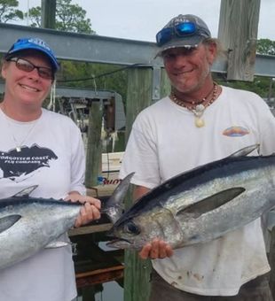 Amberjack at St. George Island