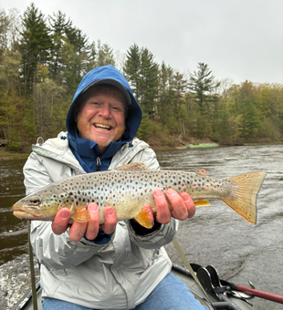 Beautiful Michigan brown trout caught fly fishing!