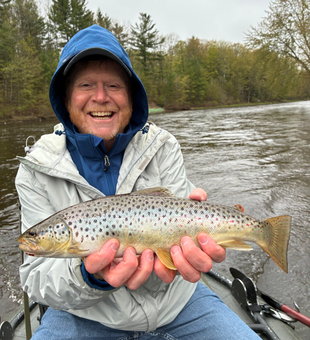 Beautiful Michigan brown trout caught fly fishing!