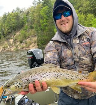 Michigan River, Monster Trout