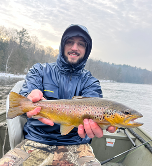 Beautiful Michigan brown trout taken on the fly!