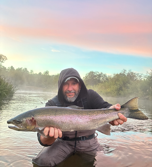 Beautiful Michigan rainbow trout from fly fishing success!