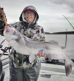 A prized Catfish from Truman Lake.