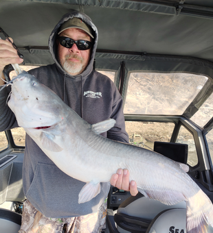 Nice Lake of the Ozarks blue catfish catch!