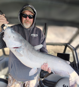 Monster blue catfish from Lake of the Ozarks!